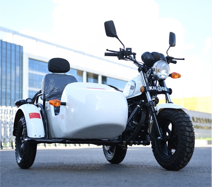 Electric Motorcycle With Sidecar